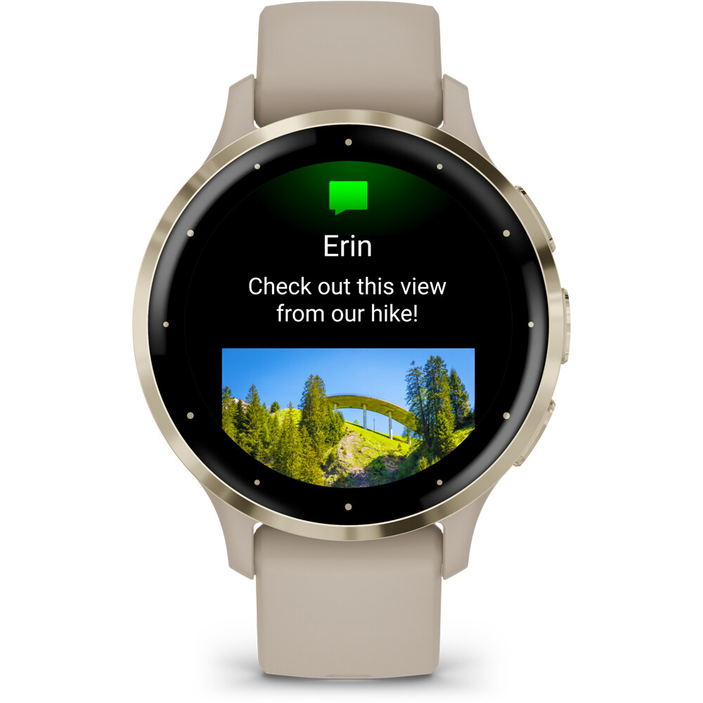 Garmin smartwatch Venu 3S GPS, Wi-Fi, French Gray + Soft 03